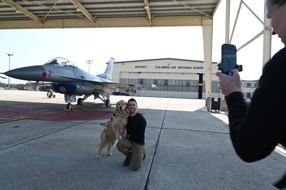 Golden Retriever Life tours 113th Wing, DCANG