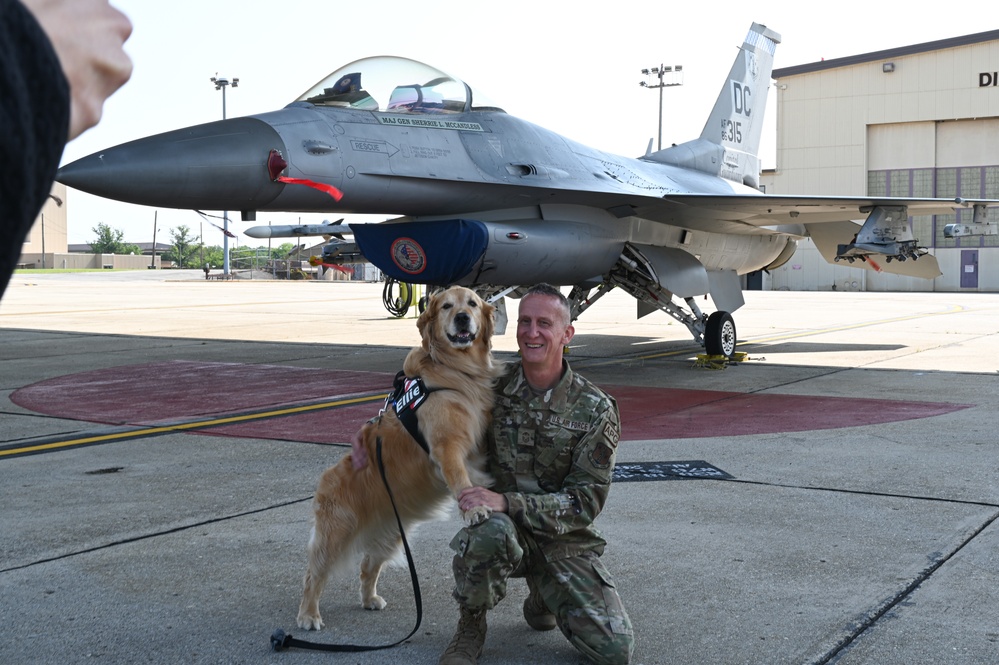 Golden Retriever Life tours 113th Wing, DCANG