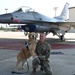 Golden Retriever Life tours 113th Wing, DCANG