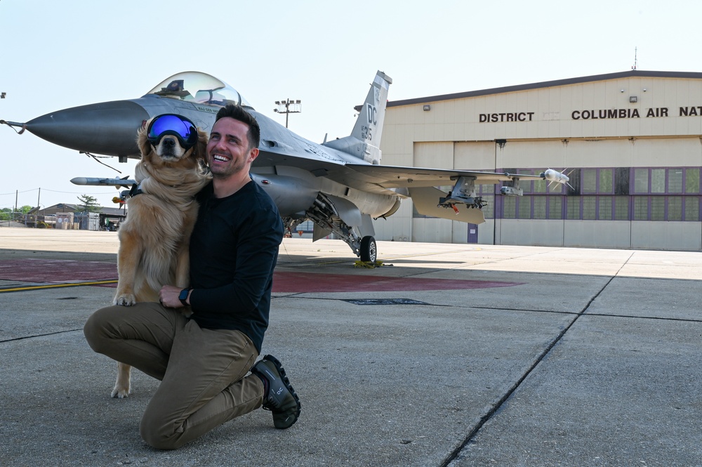 Golden Retriever Life tours 113th Wing, DCANG