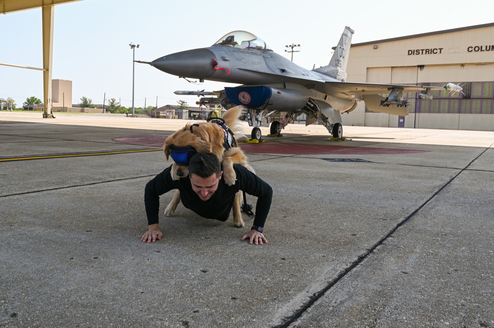 Golden Retriever Life tours 113th Wing, DCANG