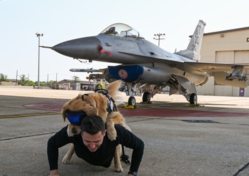 Golden Retriever Life tours 113th Wing, DCANG