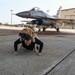 Golden Retriever Life tours 113th Wing, DCANG