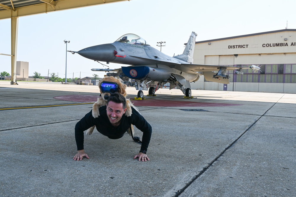 Golden Retriever Life tours 113th Wing, DCANG