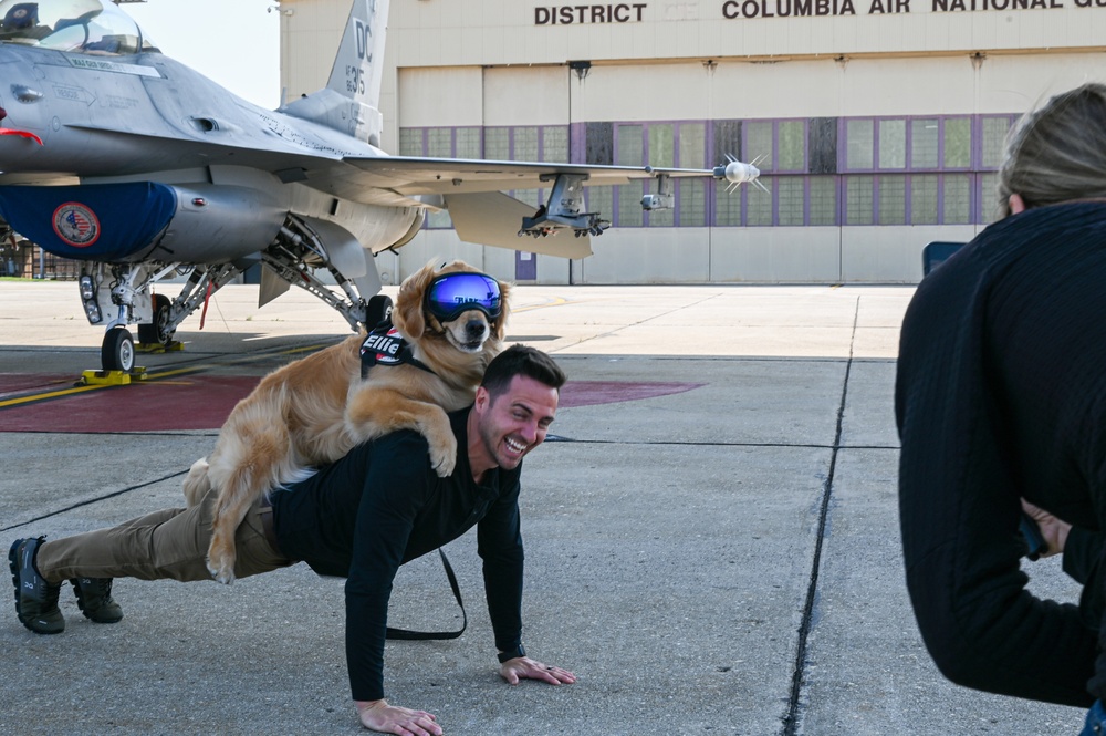 Golden Retriever Life tours 113th Wing, DCANG