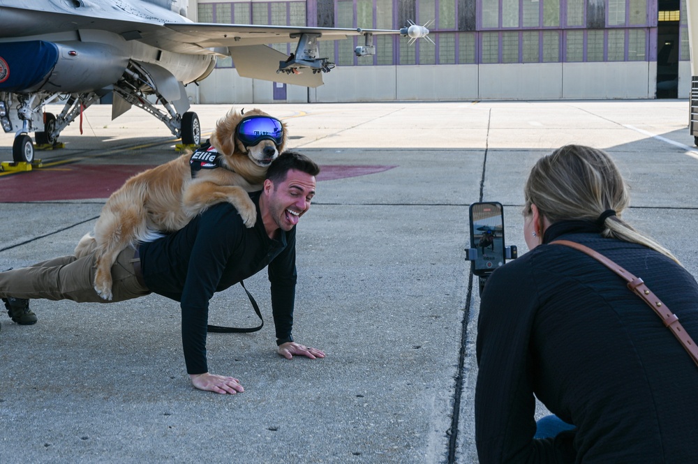 Golden Retriever Life tours 113th Wing, DCANG