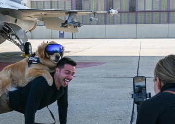 Golden Retriever Life tours 113th Wing, DCANG