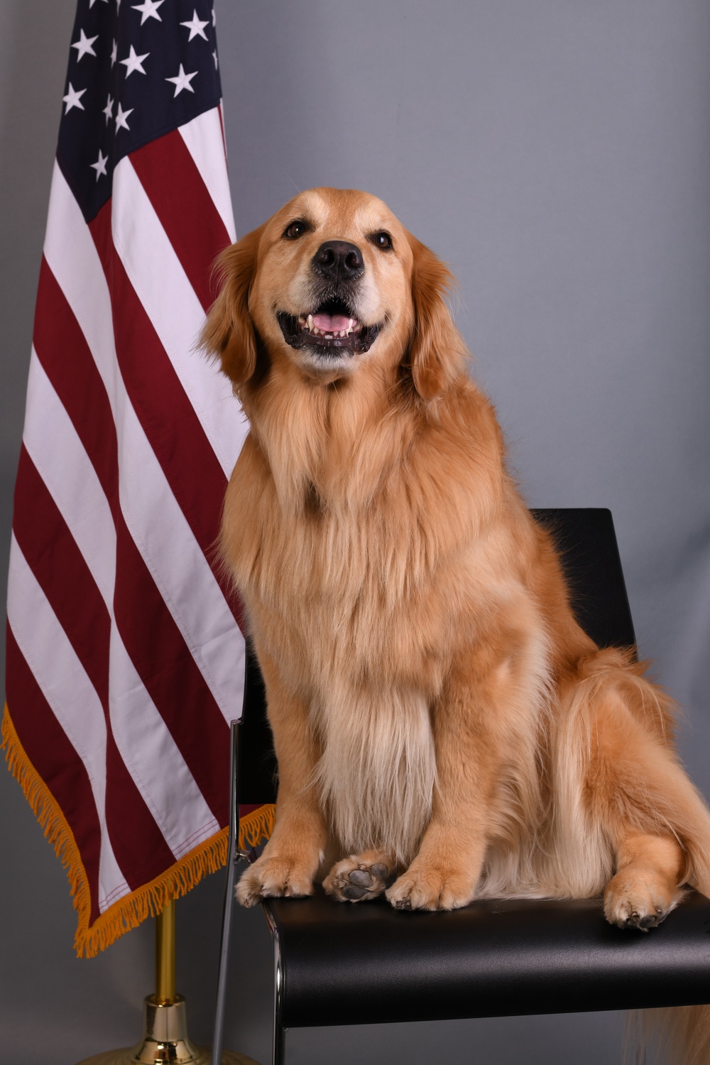 Golden Retriever Life tours 113th Wing, DCANG