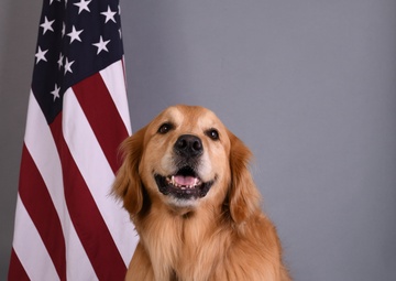 Golden Retriever Life tours 113th Wing, DCANG