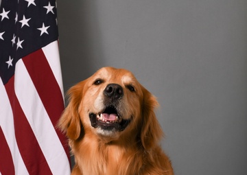 Golden Retriever Life tours 113th Wing, DCANG