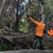 Hawaii Wildfire Recovery 23 Kula- Tree Removal
