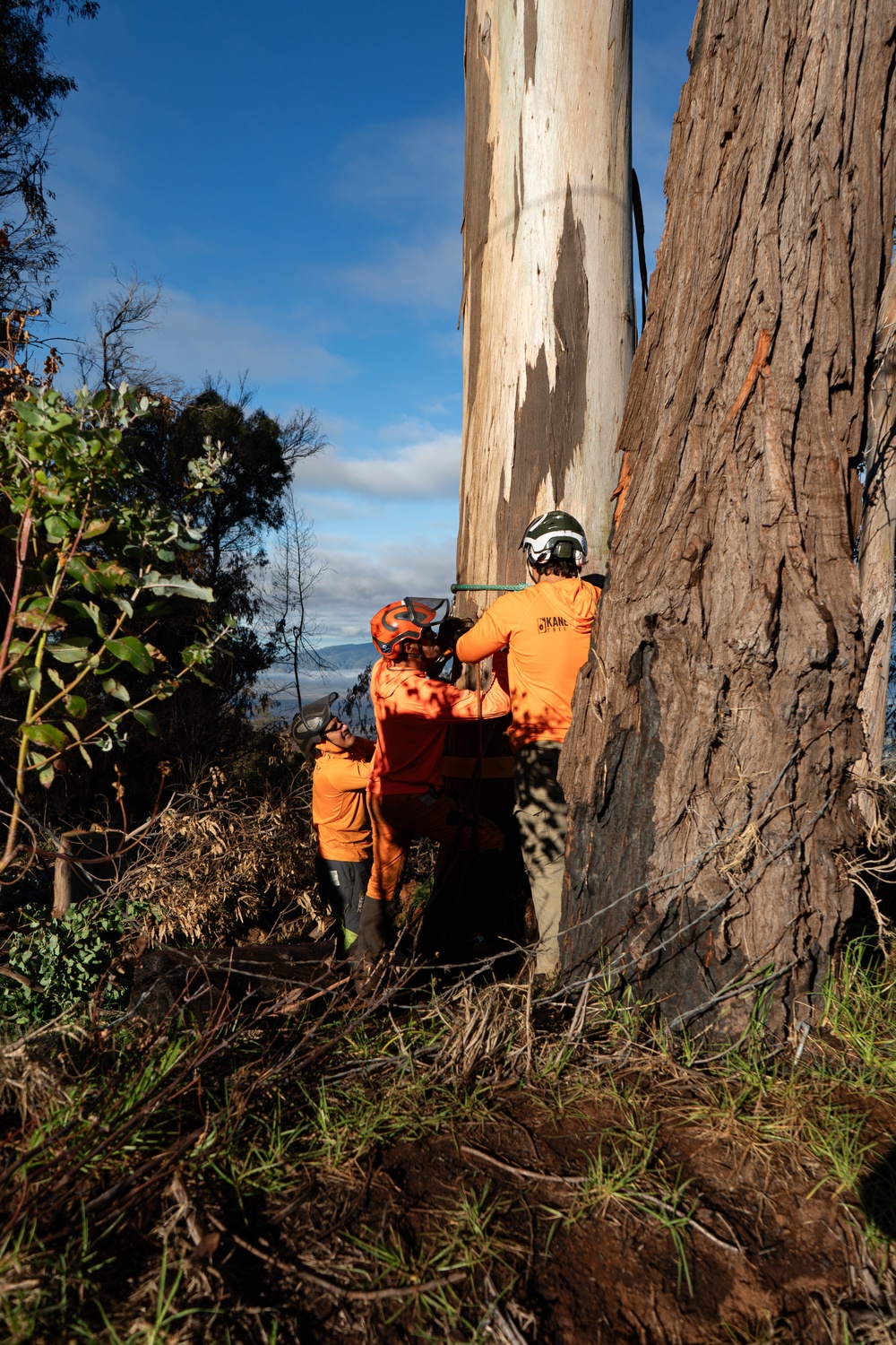 (USACE Photo by Brigida I. Sanchez)