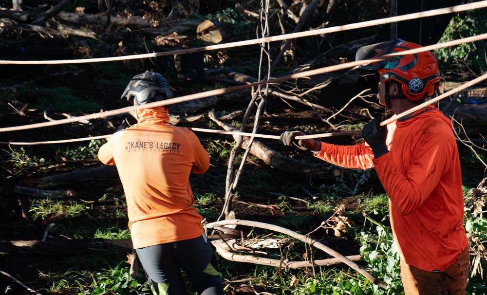 Hawaii Wildfire Recovery 23 Kula- Tree Removal