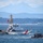 Coast Guard participates in Parade of Ships at Seafair 2023