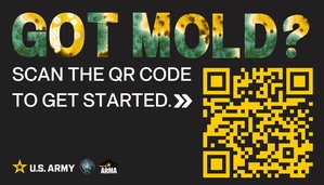 Environmental Hazards: Mold
