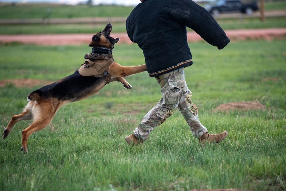 USAREC hosts annual National Educator Tour