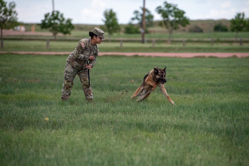 USAREC hosts annual National Educator Tour