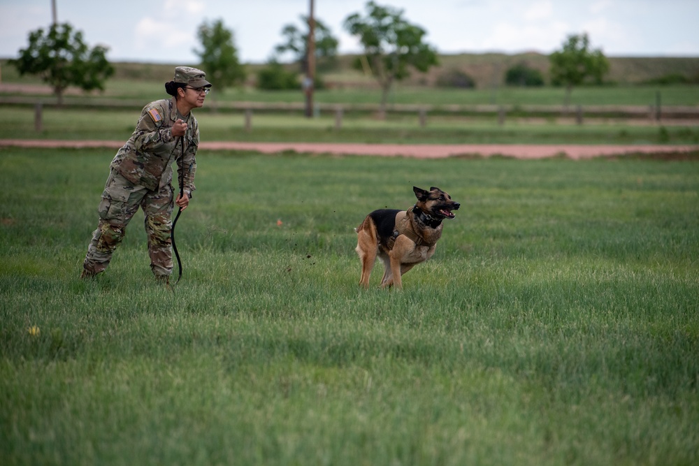 USAREC hosts annual National Educator Tour