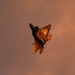 U.S. Air Force Honor Guard Drill Team performs at EAA AirVenture Oshkosh