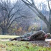 JOINT BASE ANACOSTIA-BOLLING CONDUCTS ACTIVE SHOOTER DRILL