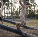 MCRDPI helps grant Trent's wish with Make-A-Wish