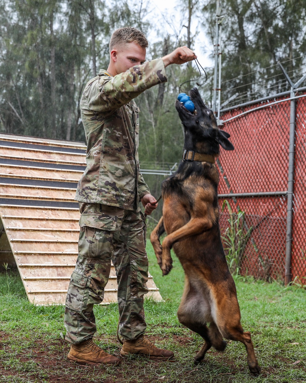 8th Military Police Brigade working dog handler and military working dog, pose for a photo on Scofield Barracks.