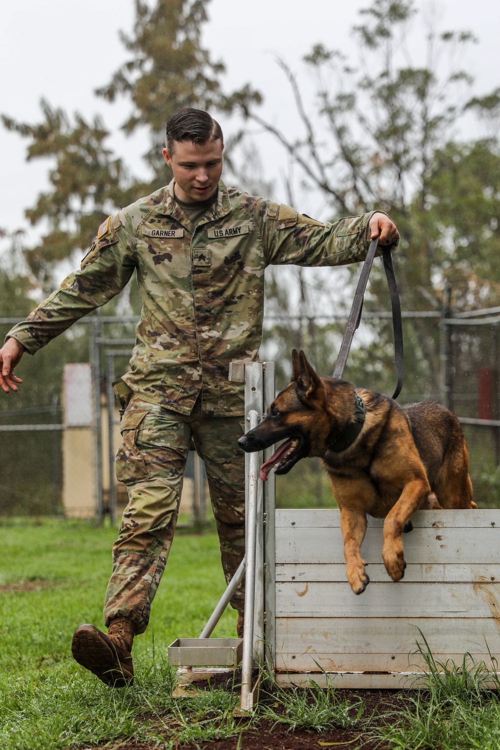 8th Military Police Brigade working dog handler and military working dog, pose for a photo on Scofield Barracks.