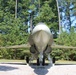 F/A-18A Hornet display at Arnold AFB honors Wittwer