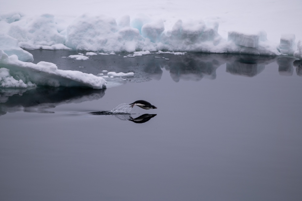 Coast Guard Cutter Polar Star (WAGB 10) reaches McMurdo Sound fast ice