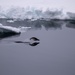 Coast Guard Cutter Polar Star (WAGB 10) reaches McMurdo Sound fast ice