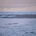 Coast Guard Cutter Polar Star (WAGB 10) reaches McMurdo Sound fast ice