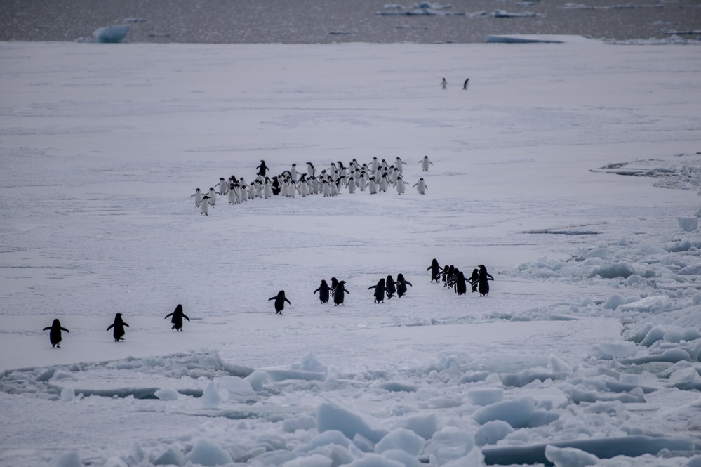 Coast Guard Cutter Polar Star (WAGB 10) reaches McMurdo Sound fast ice