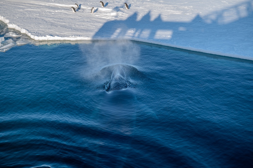 Coast Guard Cutter Polar Star (WAGB 10) reaches McMurdo Sound fast ice