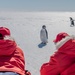 Coast Guard Cutter Polar Star (WAGB 10) holds ice liberty