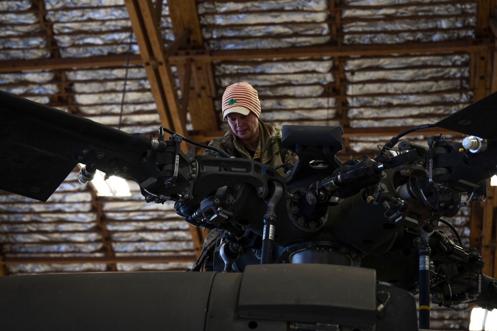 WSMR Army Air Detachment provides air support