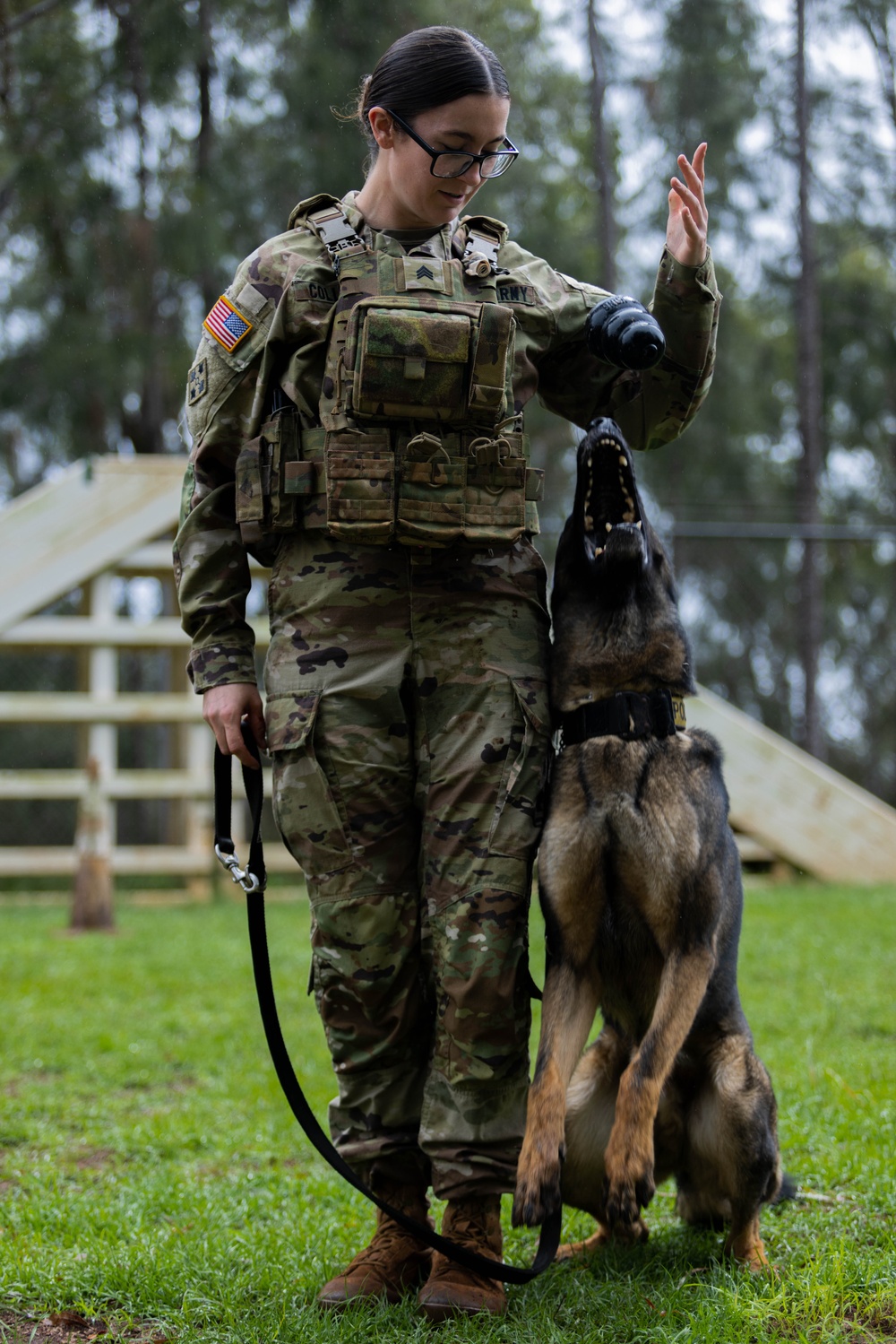 Soldiers with the 8th Military Police Brigade Train with Military Working Dogs