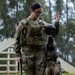 Soldiers with the 8th Military Police Brigade Train with Military Working Dogs