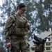 Soldiers with the 8th Military Police Brigade Train with Military Working Dogs