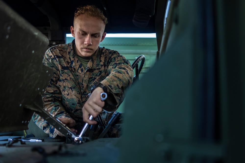 Cpl. Little; 2nd Marine Logistics Group Warrior of the Week