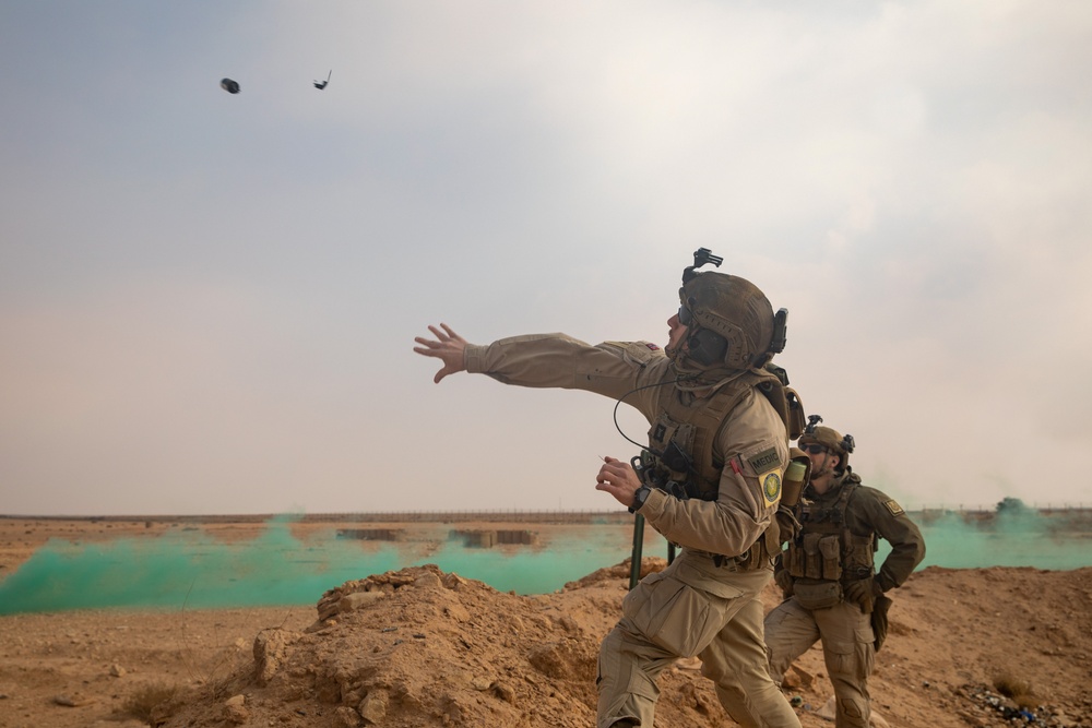 Norwegian Telemark Battalion Conducts Live Fire Range