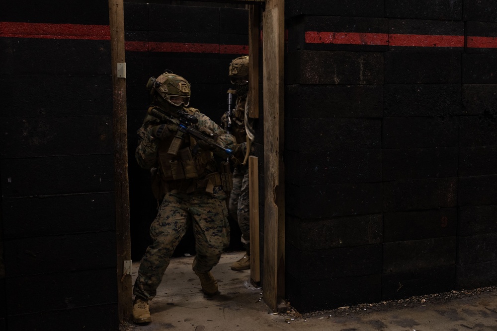 “CLEAR”: Weapons Company, Battalion Landing Team 1/1 rehearse close quarters tactics