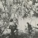 6th CIC Combat Detachment Secures Philippine Town (10 JAN 1945)
