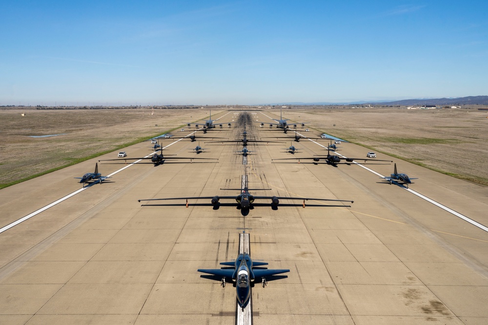 Beale AFB Elephant Walk