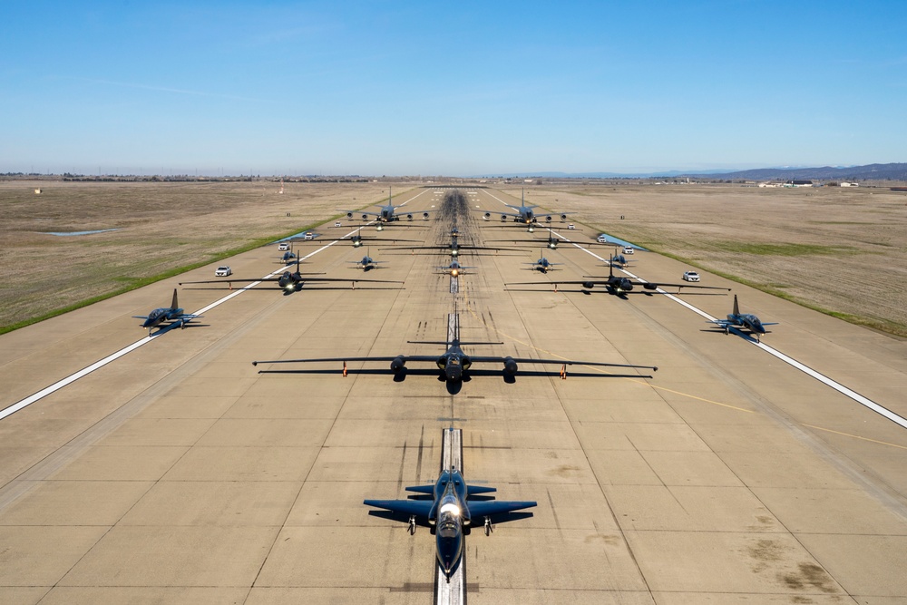 Beale AFB Elephant Walk