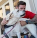 USACE emergency responders visited by therapy dogs