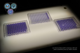 The Race Against Resistance