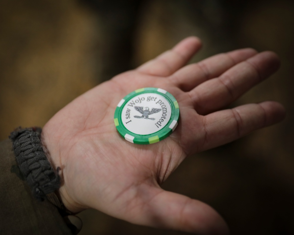 Poker chips for promotion