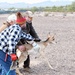 Recovery project saving the rare Sonoran pronghorn