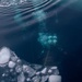 U.S. Coast Guard Cutter Polar Star (WAGB 10) conducts dive operations