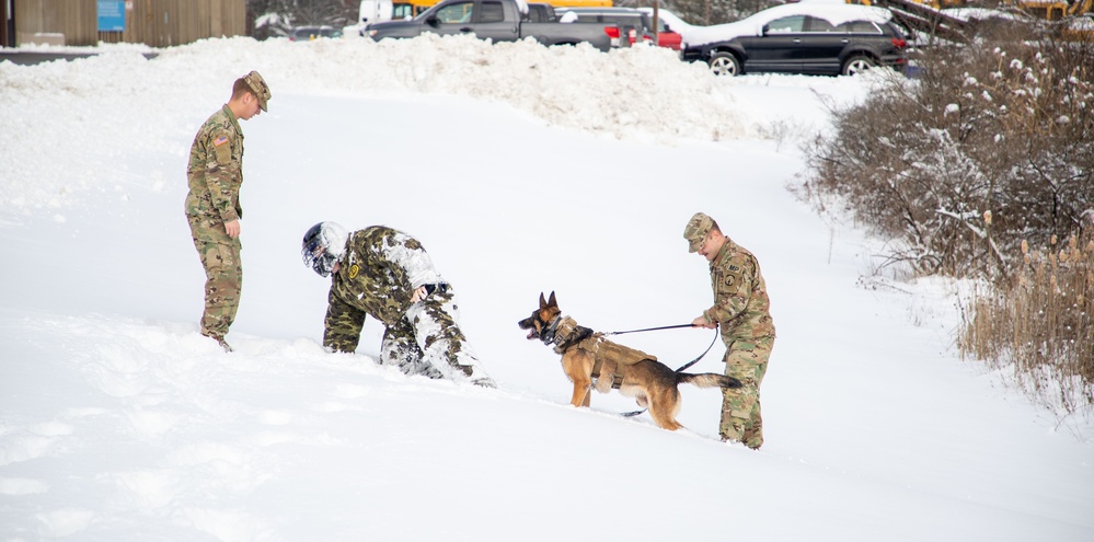 Military Working Dog Demonstration